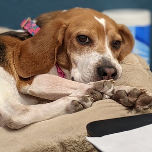 Fundraising Page: Kat Martineau